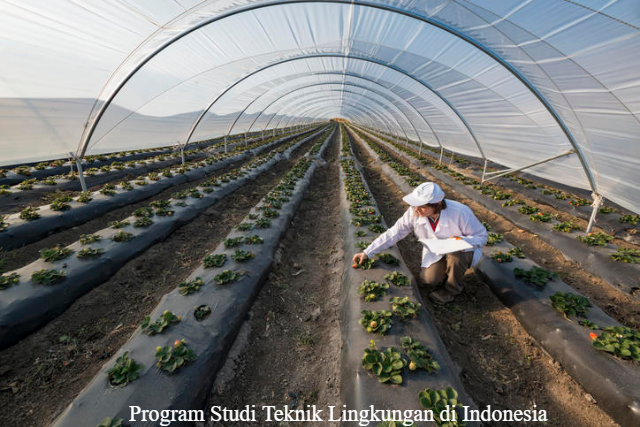 Universitas dengan Program Studi Teknik Lingkungan di Indonesia