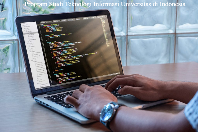 Program Studi Teknologi Informasi di Universitas di Indonesia